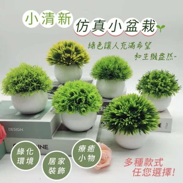 仿真綠色小盆栽，免澆水的桌面綠意